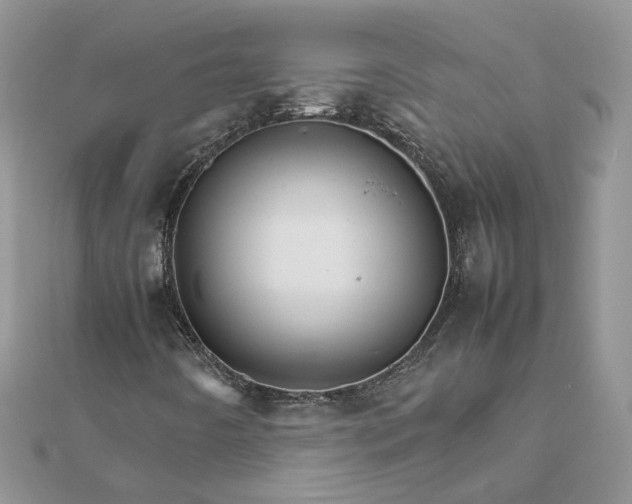 X0000111681442200907311210