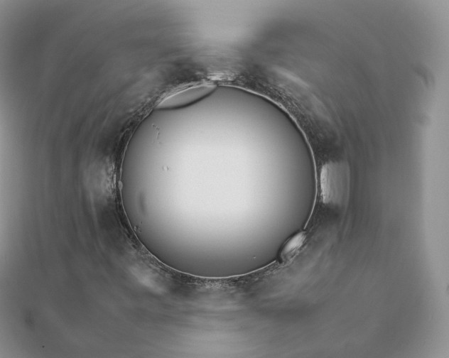 X0000111681443200907311210