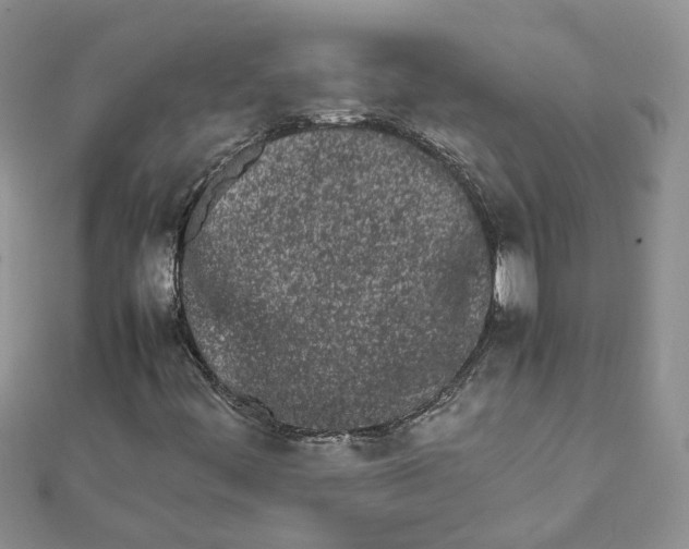 X0000111681444200907311210