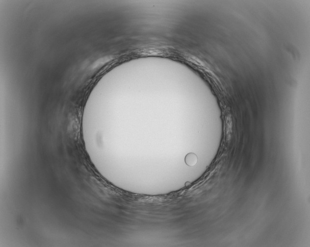 X0000111681446200907311210