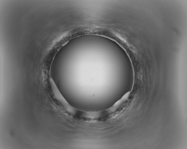 X0000111681447200907311210