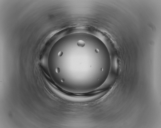 X0000111681449200907311210