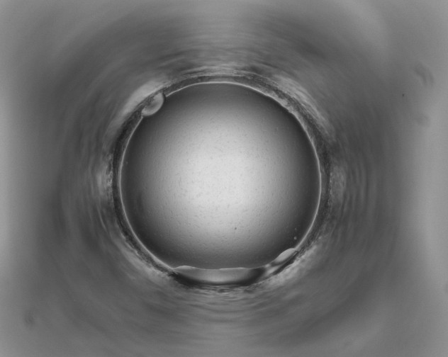 X0000111681450200907311210