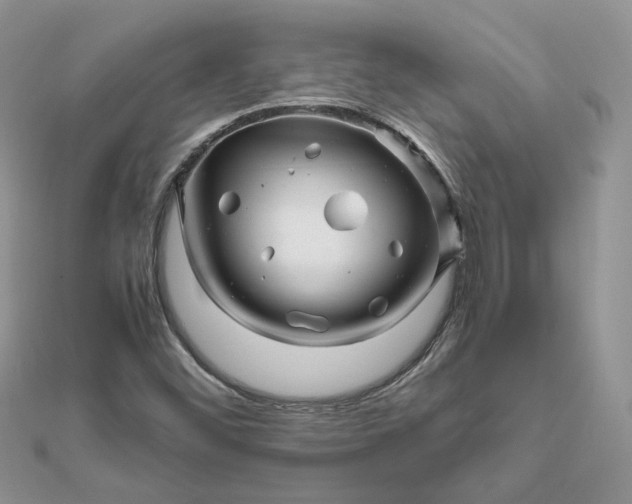 X0000111681452200907311210