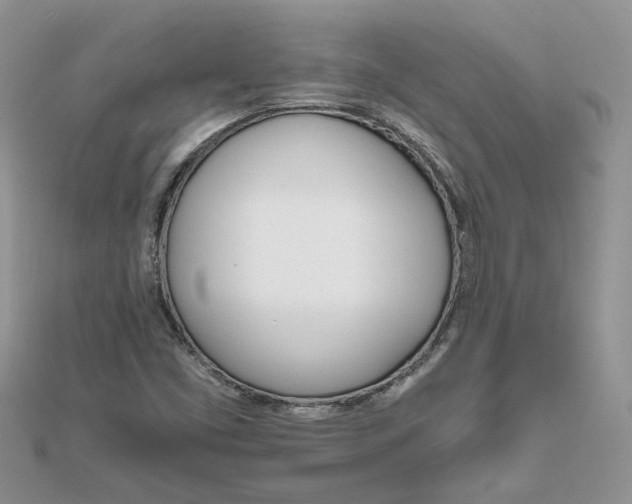 X0000111681453200907311210