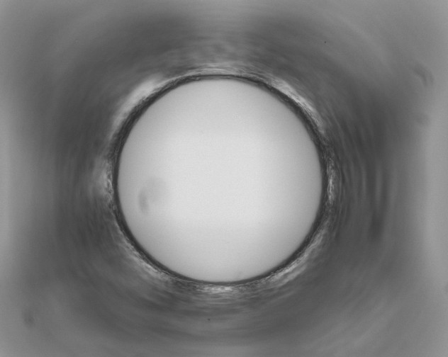 X0000111681454200907311210