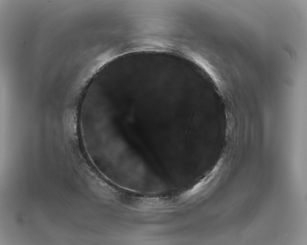 X0000111681455200907311210