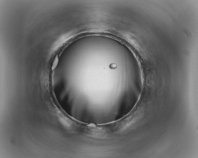 X0000111681456200907311210