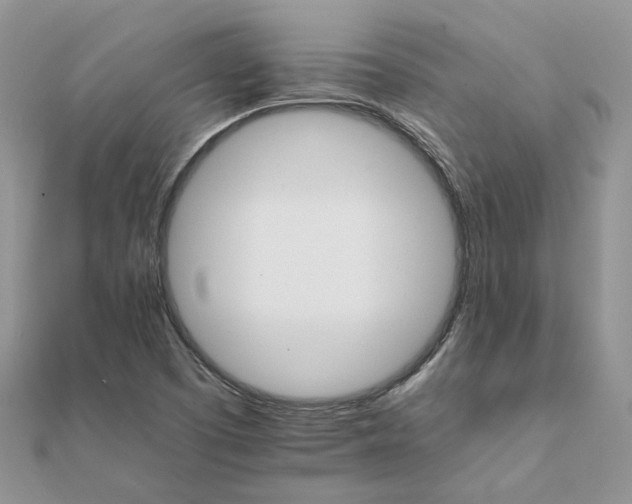 X0000111681457200907311210