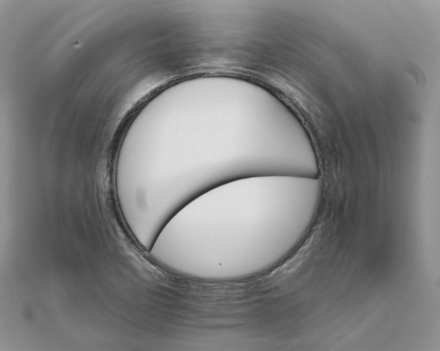 X0000111681458200907311210