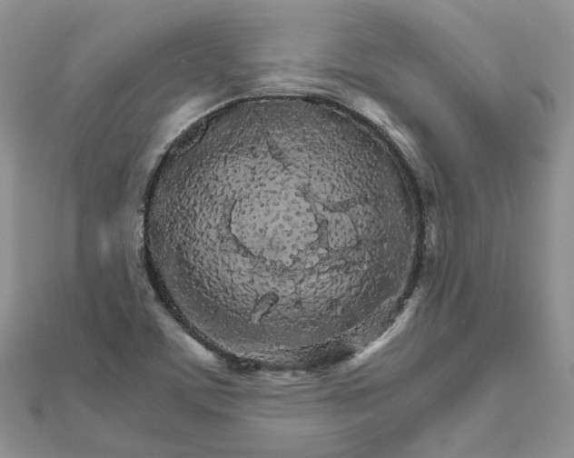 X0000111681459200907311210