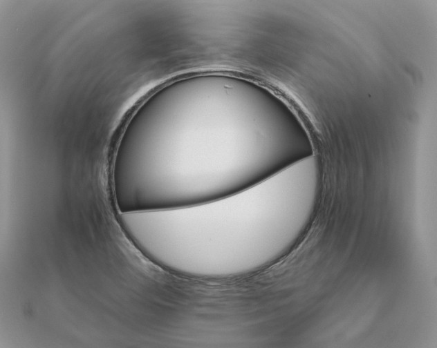 X0000111681460200907311209