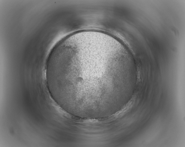 X0000111681462200907311209