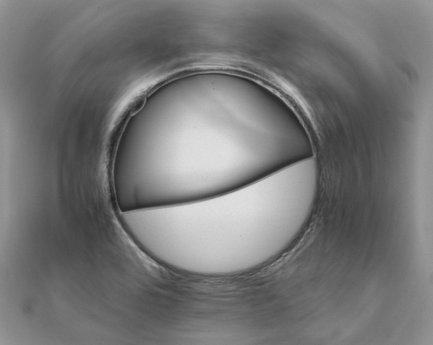 X0000111681464200907311209