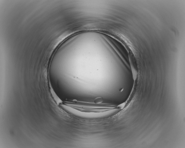 X0000111681465200907311209