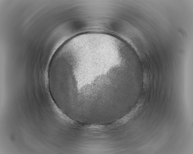 X0000111681466200907311209