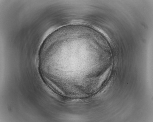 X0000111681467200907311209