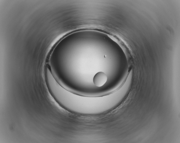 X0000111681468200907311209