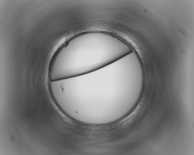 X0000111681469200907311209