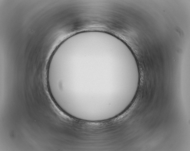 X0000111681470200907311209