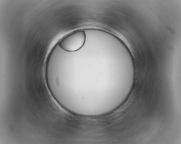 X0000111681472200907311209