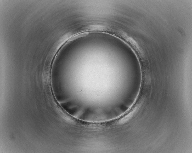 X0000111681473200907311209