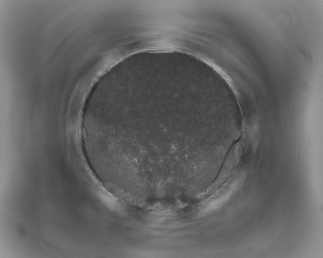 X0000111681477200907311209