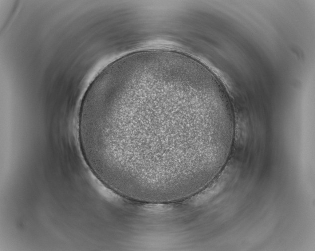 X0000111681478200907311209