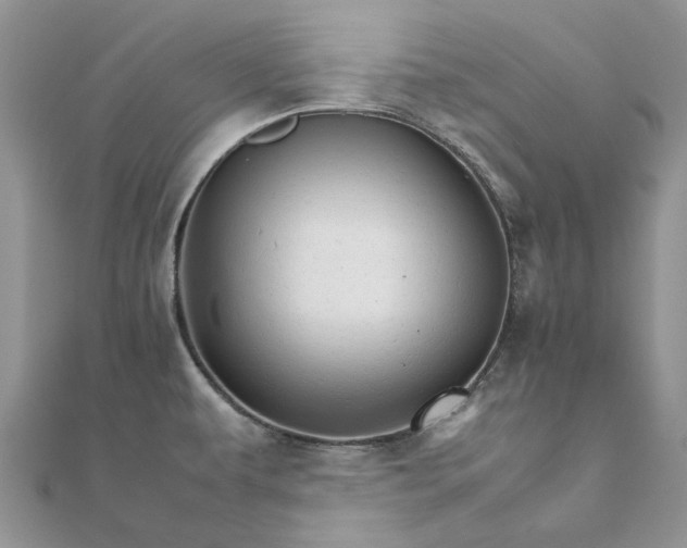 X0000111681479200907311209