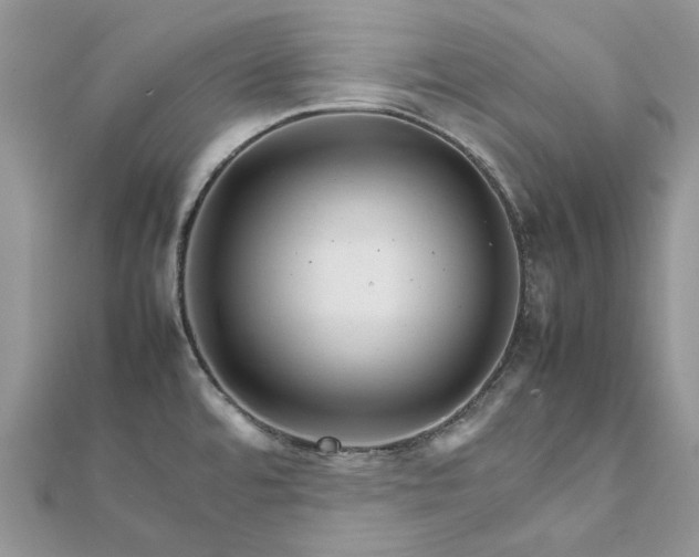 X0000111681480200907311209