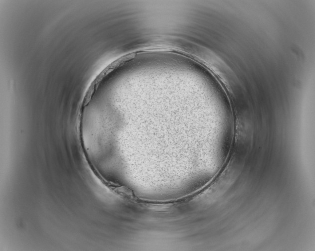 X0000111681484200907311209