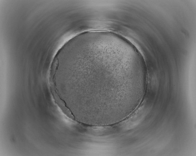 X0000111681485200907311209