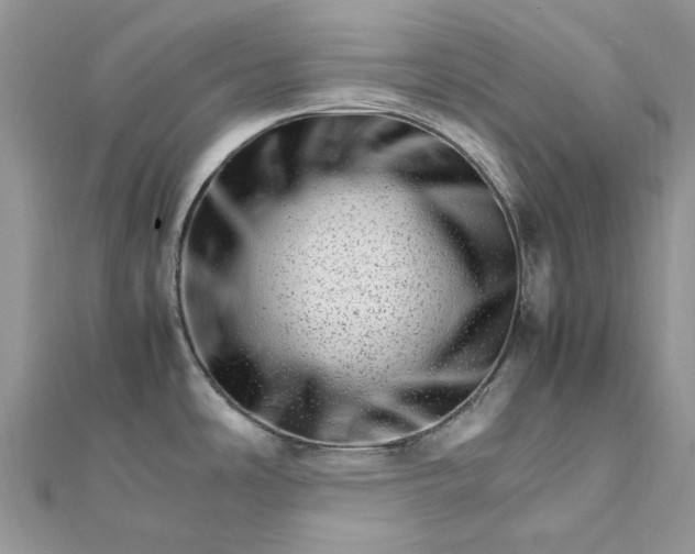 X0000111681486200907311209