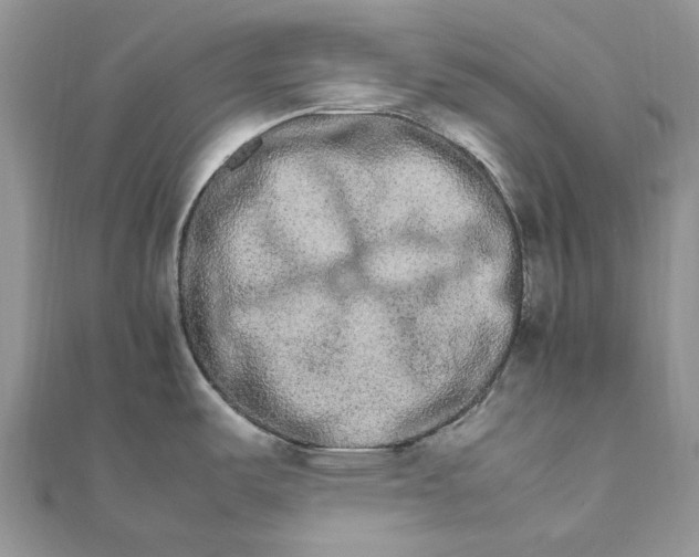 X0000111681487200907311209