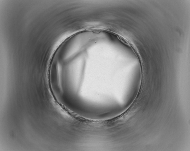 X0000111681488200907311209