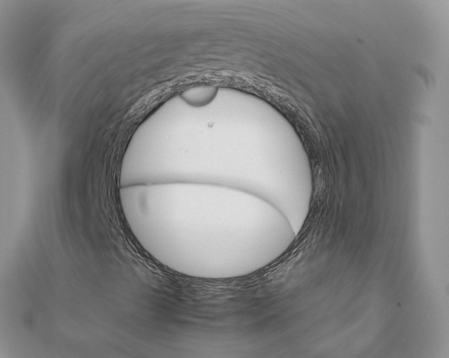 X0000111681489200907311209