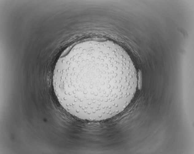 X0000111681491200907311209