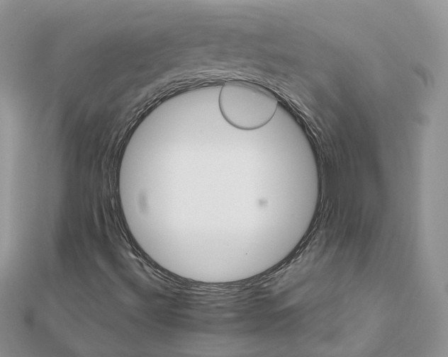 X0000111681492200907311209