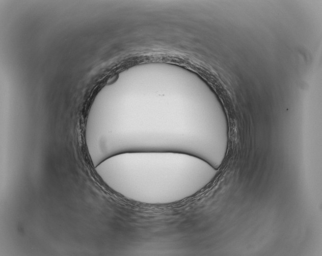 X0000111681493200907311209