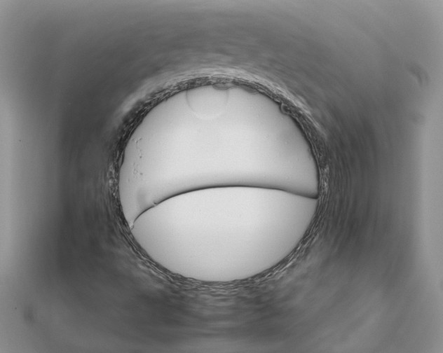 X0000111681495200907311209