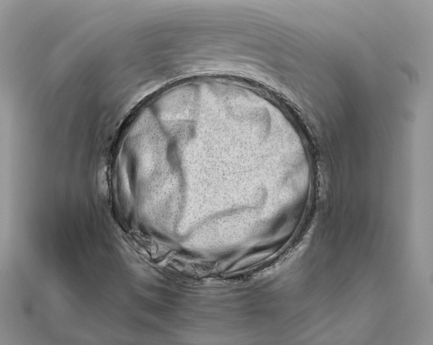 X0000111681497200907311209