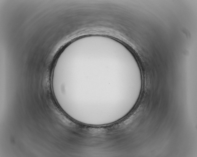 X0000111681498200907311209