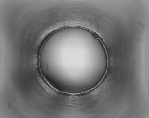 X0000111681499200907311209