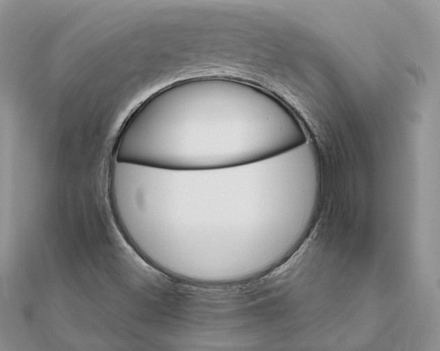 X0000111681500200907311209