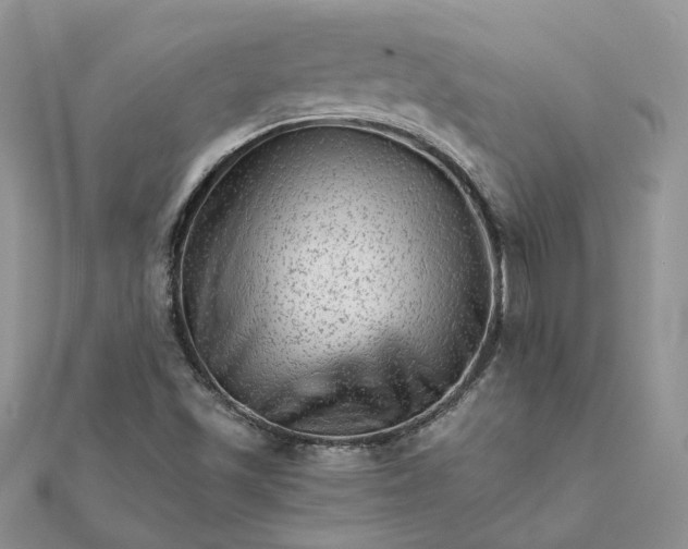 X0000111681501200907311209