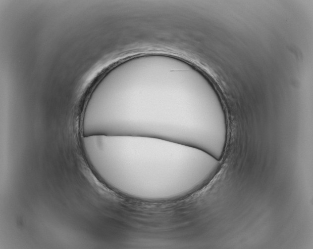 X0000111681503200907311209