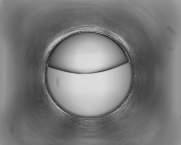 X0000111681504200907311209