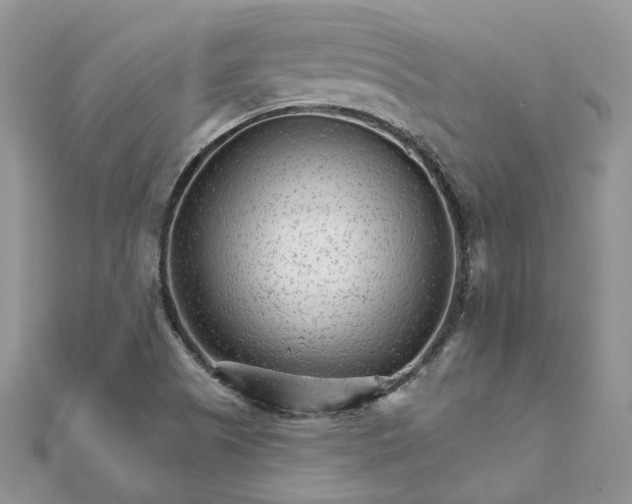 X0000111681505200907311209