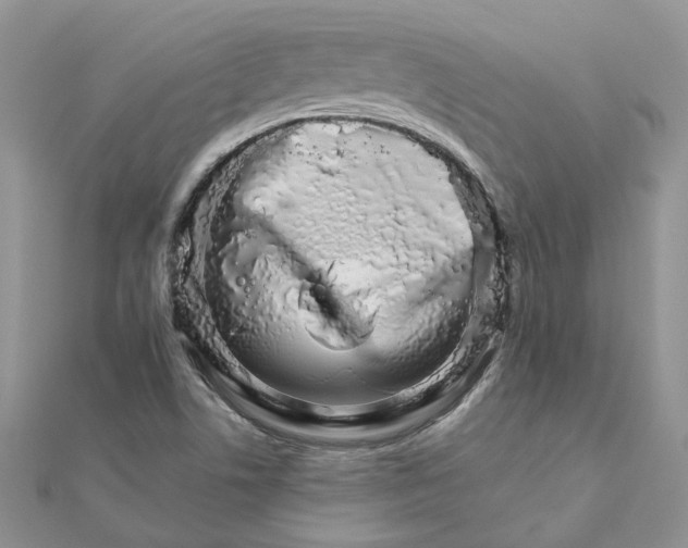 X0000111681506200907311209