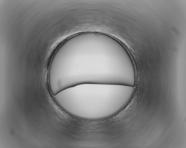 X0000111681507200907311209